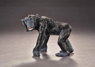 Schimpanse Herbert Klein OHG